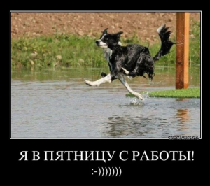 Фото к отзыву