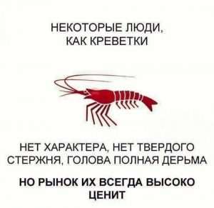 Фото к отзыву